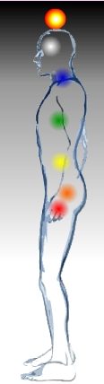Distribución anatómica de los Chakras