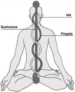 ida, pingala y sushumma, los tres nadis